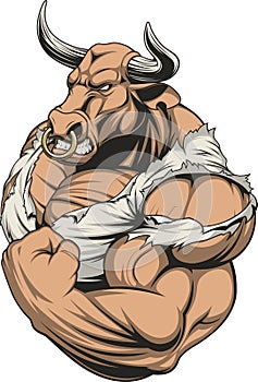 Strong ferocious bull