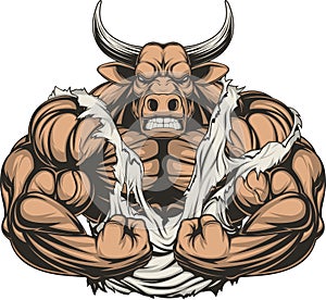 Strong ferocious bull