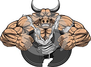 Strong ferocious bull
