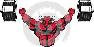 Strong ferocious bull