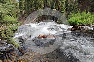 Strong flow of a river with white foam in the forest