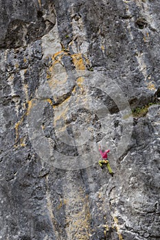 Strong girl climbs on a rock, doing sports climbing in nature.