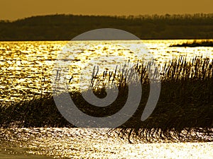 Strong gusty wind on the coast photo