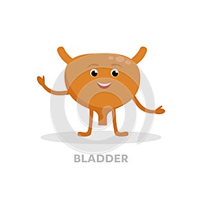 Strong healthy bladder cartoon character isolated on white background. Happy bladder icon vector flat design. Healthy