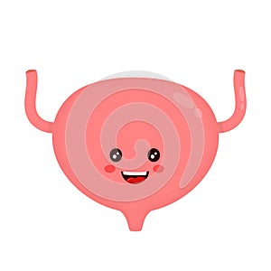 Strong healthy happy bladder character photo