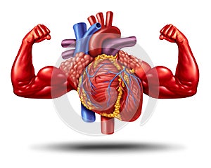 Strong Healthy Heart photo