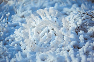 Strong icy grass with ice crystals