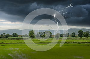 Strong lightning in black clouds over green field