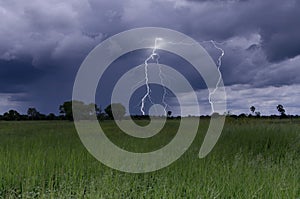 Strong lightning and rain over forest and green grass field