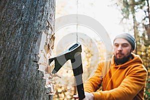 Strong logger worker cuts tree in forest. Ax close up, blurred lumberjack on background