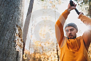 Strong logger worker cuts tree in forest