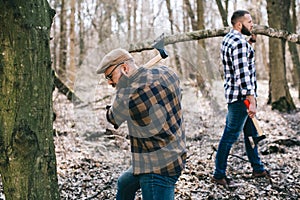 Strong lumberjack chopping wood