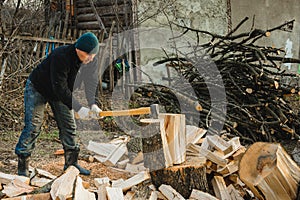 A strong man harvests firewood for the winter in the back yard of the house cutting the big and sturdy grass tree