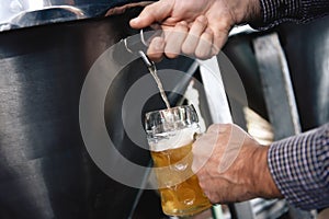 Strong man`s hands pour beer in tumbler from beer tap at craft brewery.