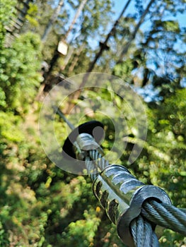 Strong metal string cable connected between trees for gliding in forest