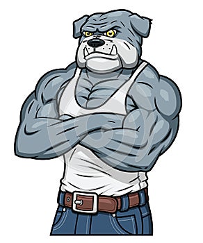 Strong muscle aggressive bulldog