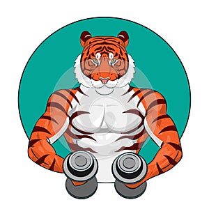 Strong muscular tiger holding two dumbbells in his hands and doing workout vector illustration.