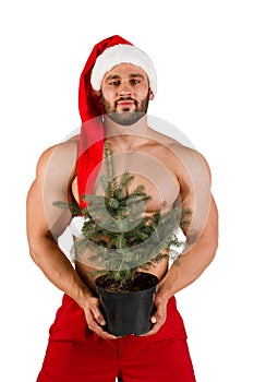 Strong naked young guy at the Santa Claus hat with Christmas tree in his hand