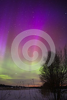 Strong Northern Lights in Estonia