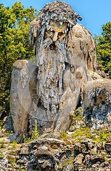Strong old bearded man statue colossus giant public gardens of Demidoff Florence Italy vertical photo