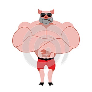 Strong pig bodybuilder with huge muscles. Farm animal athlete. P photo