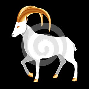 Strong ram with big golden horns. White sheep for islamic holiday or festival Eid Al Adha. Design animal for decoration poster or