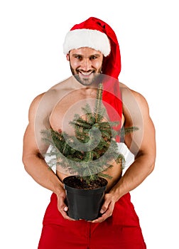 Strong Santa Claus with Christmas tree in a pot in his hand,