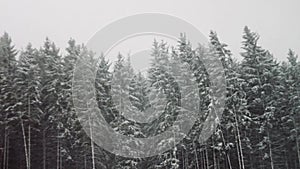 Strong snow comes on the background of Christmas