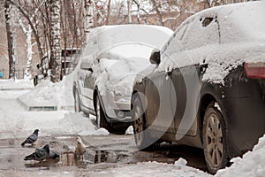 After a strong snow storm car covered in snow