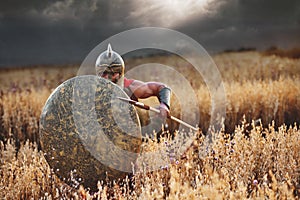 Strong Spartan warrior in battle dress with a shield and a spear