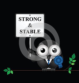 Strong and Stable