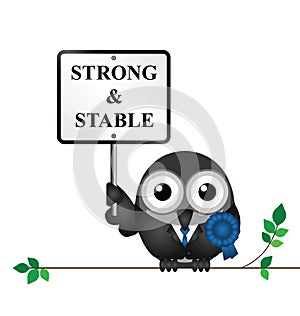 Strong and Stable