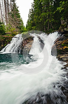 Strong stream of mountain waterfall in green forest - wide angle vertical shot. Beautiful and power waterfall with turquoise water