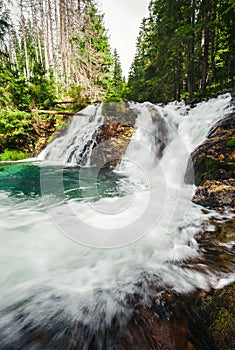 Silný prúd horského vodopádu v zelenom lese širokouhlý vertikálny záber. Krásny a silný vodopád s tyrkysovou vodou