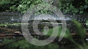 A strong stream of water splashes against the ground. Thunderstorm, rain background. Water splash, splashing.