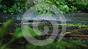 A strong stream of water splashes onto the ground. Thunderstorm, rain background. Water splash, splashing on asphalt. Nature