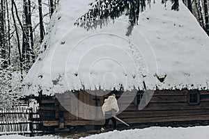 Strong viking with sword and wolf pelt walking towards historical wooden building in north woods in the winter, viking warrior re