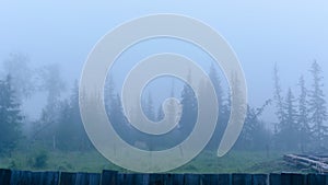 A strong white morning fog envelops the residential plot under construction with trees and the beginning of the log house