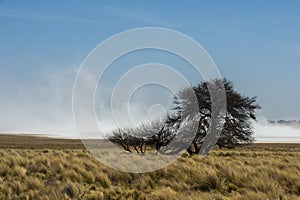 Strong wind blowing in a salt flat in La Pampa province,