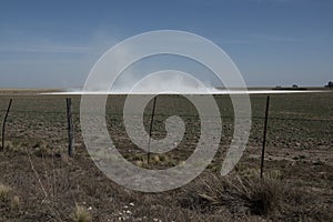 Strong wind blowing in a salt flat in La Pampa province,