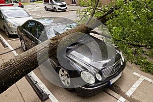 A strong wind broke a tree that fell on a car parked nearby