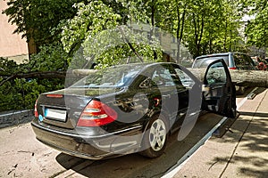 A strong wind broke a tree that fell on a car parked nearby