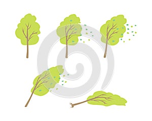 Strong Wind Topple Tree Vector in Flat Design photo