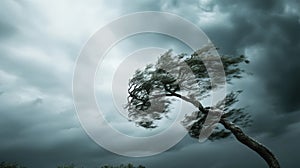 Strong Winds Bending a Lone Tree During a Powerful Storm by the Coastline