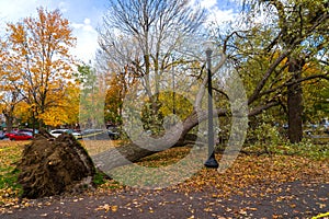 Strong winds in Molson Park at Montreal