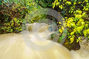 Strong winter waterflow in the Banias River