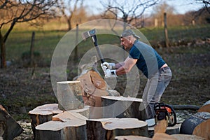 Strong woodman splitting logs