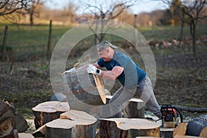 Strong woodman splitting logs