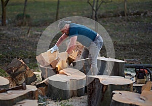 Strong woodman splitting logs