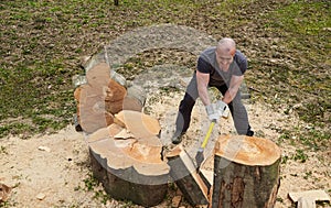 Strong woodman splitting logs